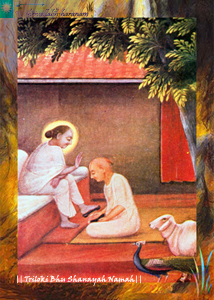 105-Triloki-Bhu-Shanayah-Namah