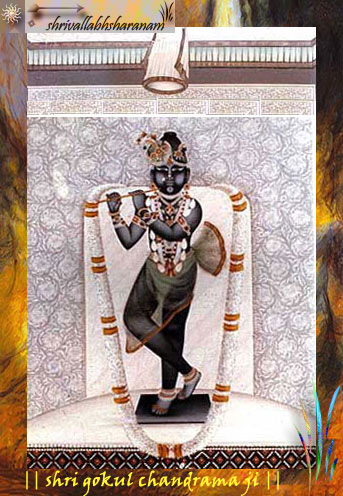 Shri Raghunathji's Sevya Swaroop - Shri Gokulchandrmaji