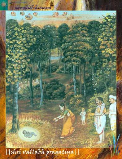 shri-vallabh-pragatiya